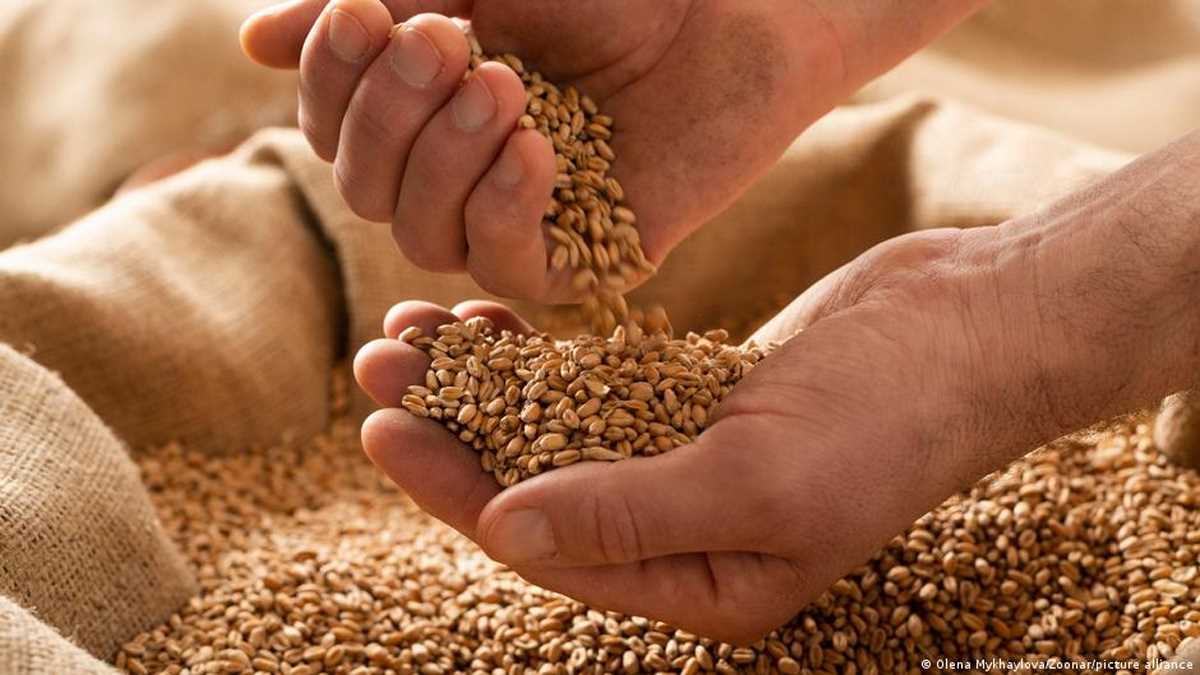 बेहतर खाद्य उत्पादन से बच सकते हैं खरबों डॉलर